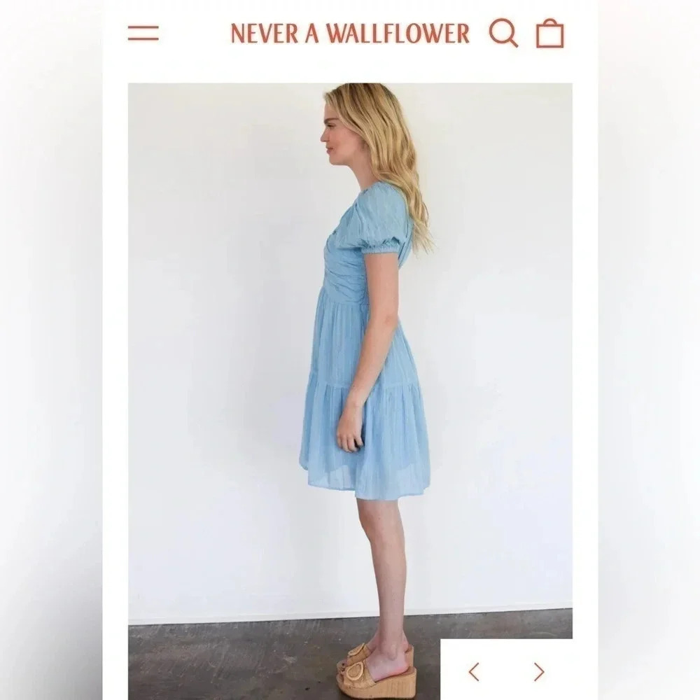 NWT! Never a Wallflower Coco Short Sleeve Dress. Air Stripe (light blue). XS - Picture 3 of 10